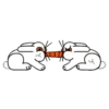 Rabbit.Movi 13