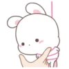 Happy Bunny   @cocopry 11