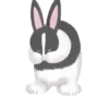 Rabbit.Movi 15