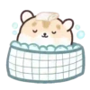 Mix up   Hamster   Mov 18