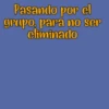Perrito Blanco 16