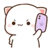 2 Mochi Peach 14