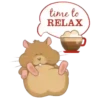 Mix up   Hamster   Mov 19