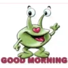 Good Morning 14