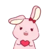 Rabbit.Movi 17