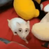 2 Hamstercitos  mov 17