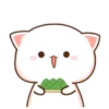 MOCHIS🐈CAT Extra"E" MOV 11