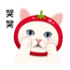 cute michis   ( ) 11