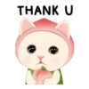 cute michis   ( ) 12