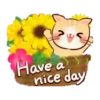 Good Morning 17