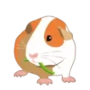 Mix up   Hamster   Mov 23