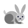 Rabbit.Movi 19