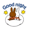 Good evening 17