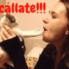 gatitos lindos  ️.mov 21