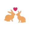 Rabbit.Movi 22