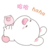 Happy Bunny   @cocopry 16