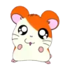 Mix up   Hamster   Mov 25