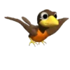Aves Variado   Mov.1712 20
