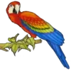 Aves Variado   Mov.1712 21