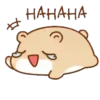 Hamster Mochi  Mov 21
