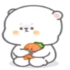 Bear Peter and Rabbit Molly 20 18
