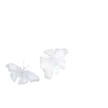 Frog White  Mov 8