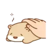 Hamster Mochi  Mov 22