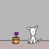 Perrito Blanco 24