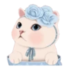 cute michis   ( ) 19