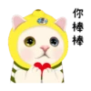 cute michis   ( ) 21