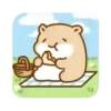 Hamster Mochi  Mov 26
