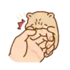Hamster Mochi  Mov 27