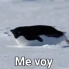 Variados 2 mov 27