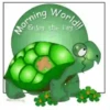 Good Morning 29