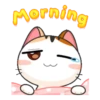 ᗒgojill ᗕ the meow animated 24