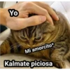 Stickers Variados 24