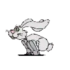 Rabbit.Movi 29
