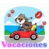 Variados 2 Movi 29