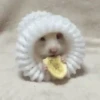 2 Hamstercitos  mov 29