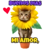 Bom dia 1 filme 27