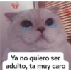 Stickers Variados 25