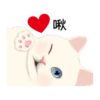 cute michis   ( ) 28