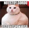 Stickers Variados 26