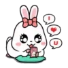 Rabbit Couple mov 30