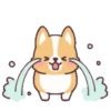 Corgi anime (Mov) 2