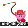 KIRBY 5