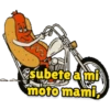 Variados✇36 Movi 5