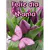Día de las madres 1 MOV 6