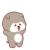 ️Happy Little dog  MOV 7