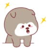 ️Happy Little dog  MOV 8
